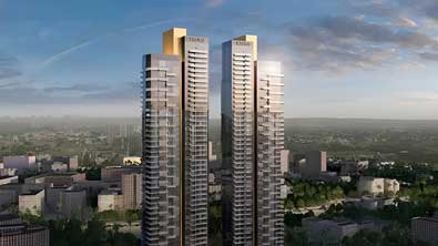 Layout Gallery Image